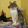 Отзыв от Таисия Ситникова